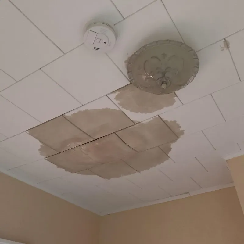 Ceiling Water Damage Repair in Folsom, CA